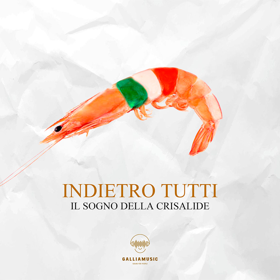 indietro-tutti-il-nuovo-album-de-il-sogno-della-crisalide